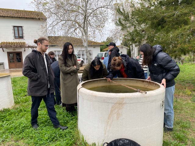 QTOX Meeting Valencia Mesocosms